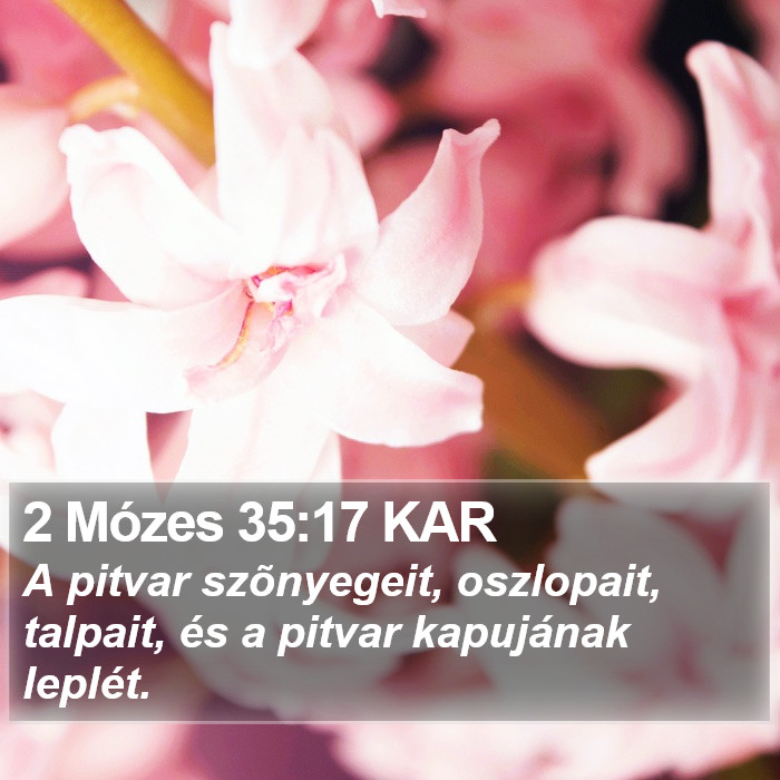 2 Mózes 35:17 KAR Bible Study