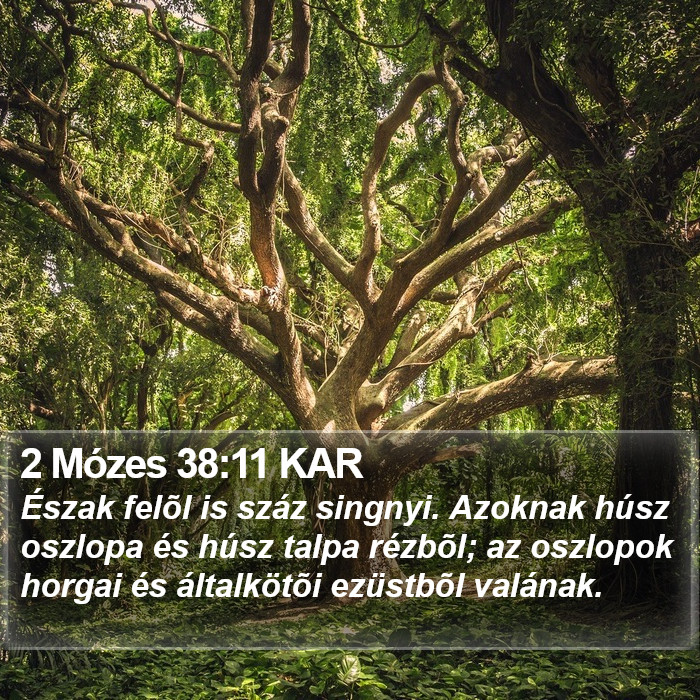 2 Mózes 38:11 KAR Bible Study