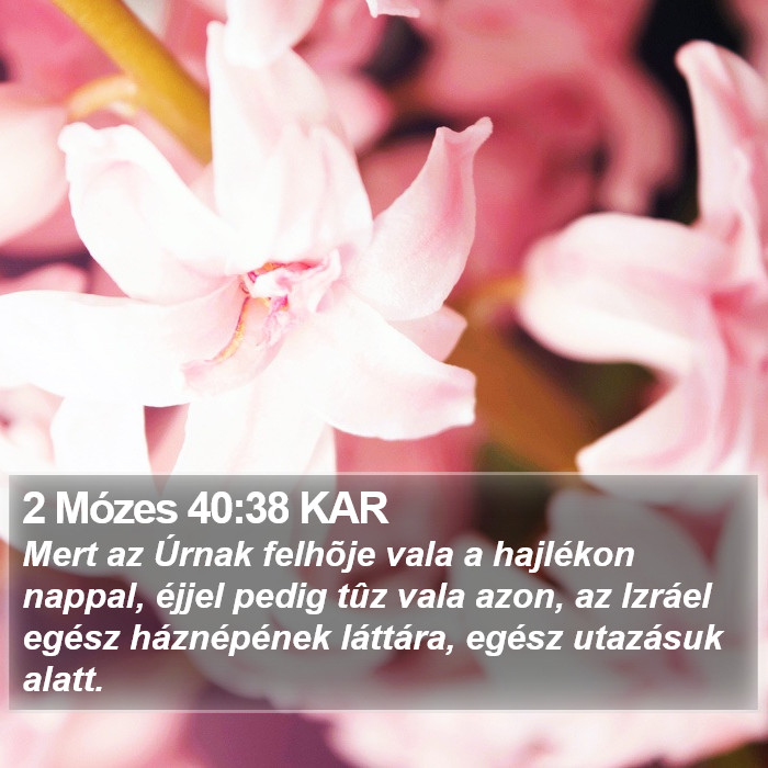 2 Mózes 40:38 KAR Bible Study