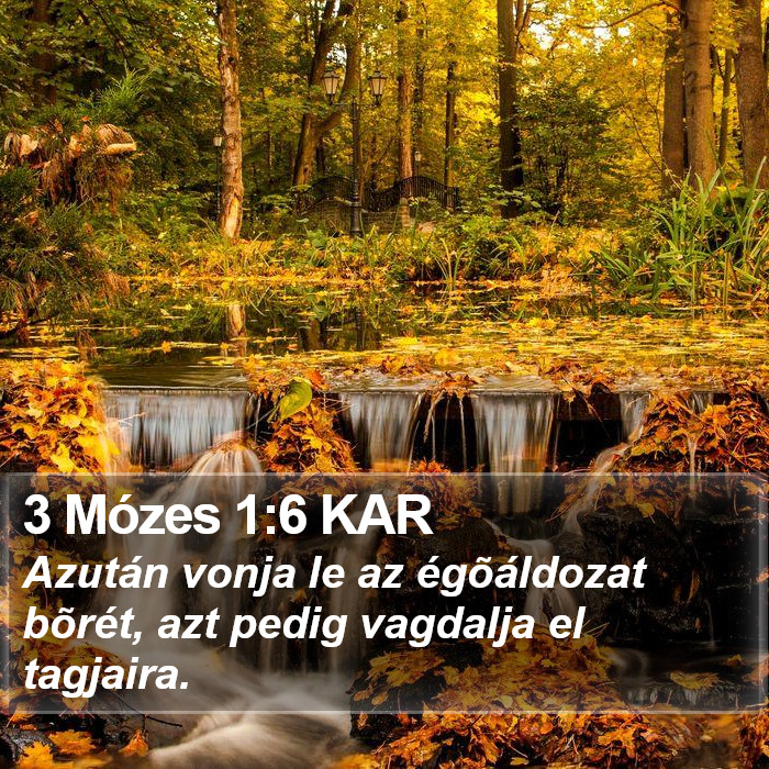 3 Mózes 1:6 KAR Bible Study