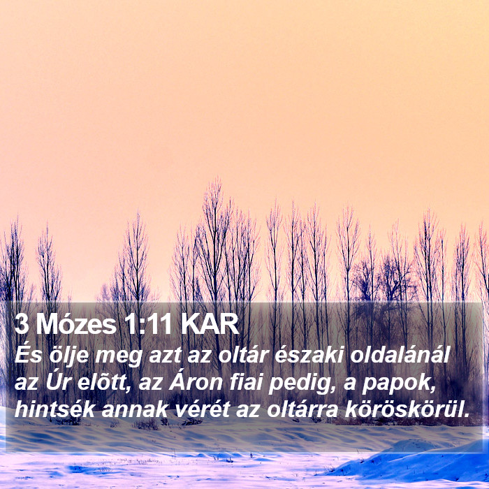 3 Mózes 1:11 KAR Bible Study