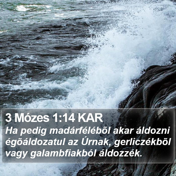 3 Mózes 1:14 KAR Bible Study