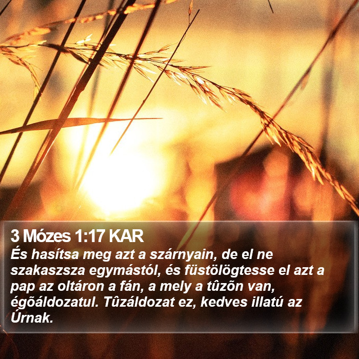 3 Mózes 1:17 KAR Bible Study