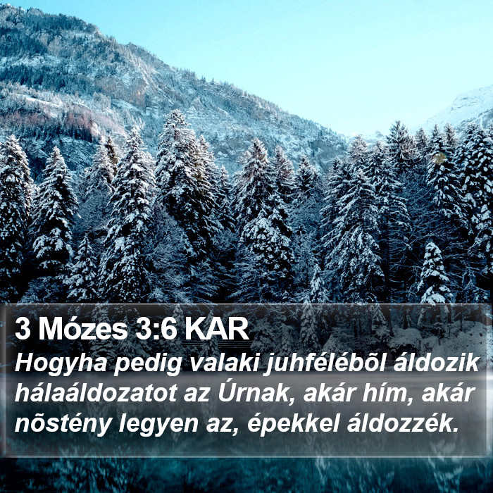 3 Mózes 3:6 KAR Bible Study