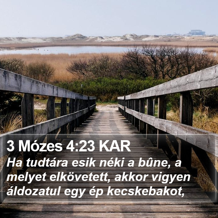 3 Mózes 4:23 KAR Bible Study