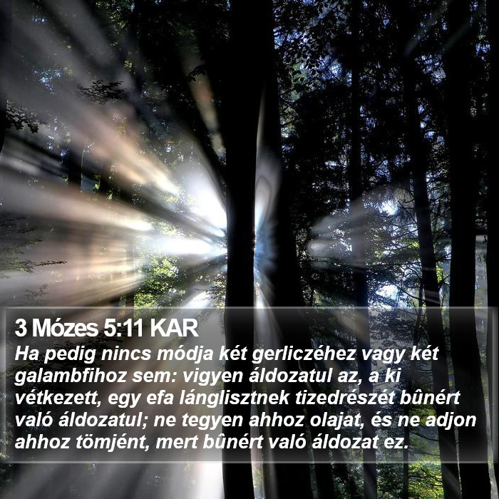 3 Mózes 5:11 KAR Bible Study