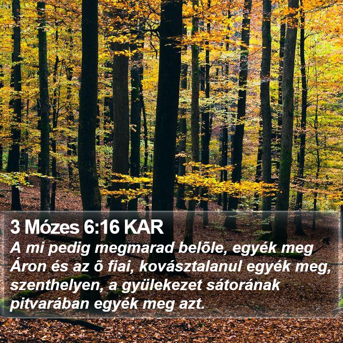 3 Mózes 6:16 KAR Bible Study