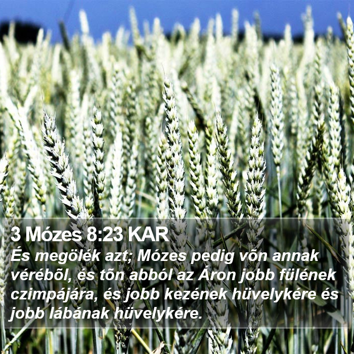 3 Mózes 8:23 KAR Bible Study