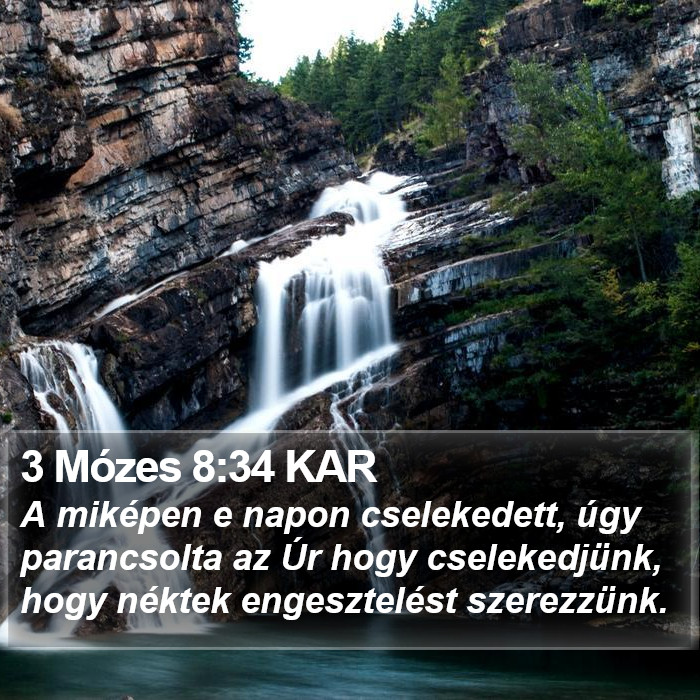 3 Mózes 8:34 KAR Bible Study