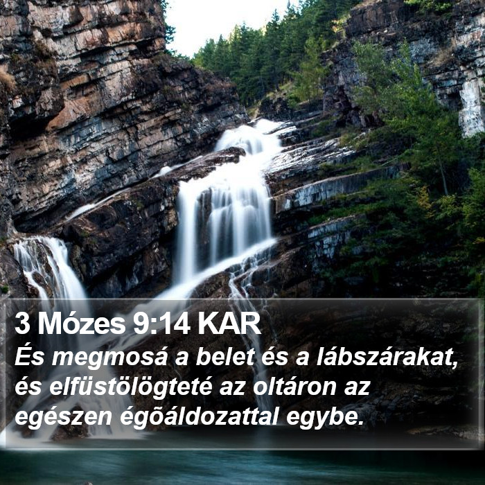 3 Mózes 9:14 KAR Bible Study