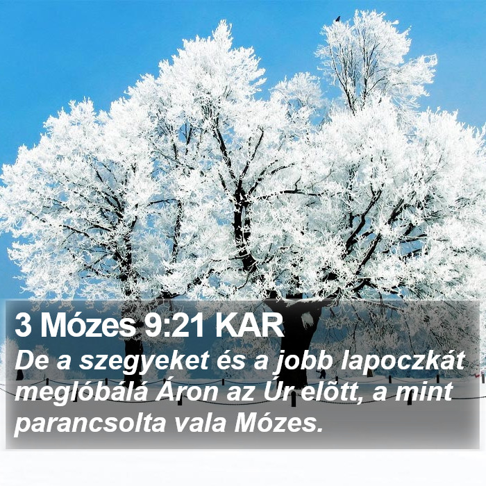 3 Mózes 9:21 KAR Bible Study