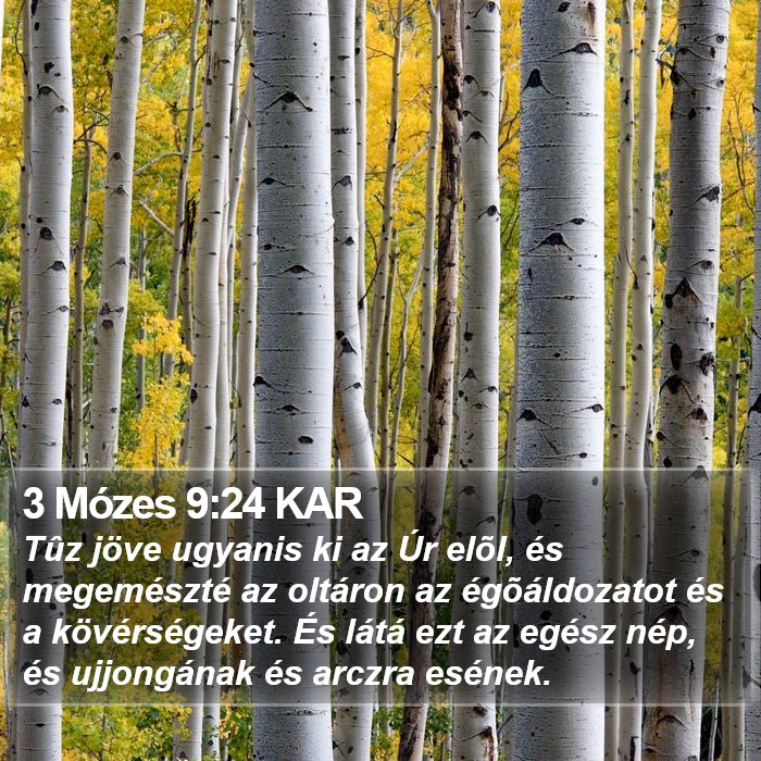 3 Mózes 9:24 KAR Bible Study