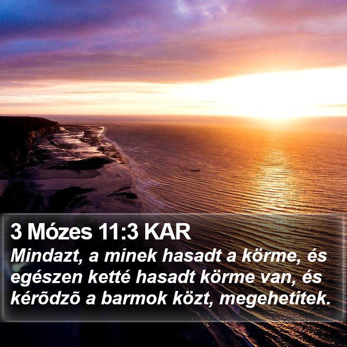 3 Mózes 11:3 KAR Bible Study