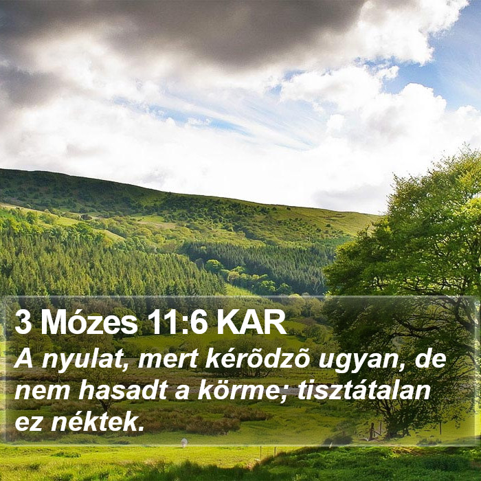 3 Mózes 11:6 KAR Bible Study