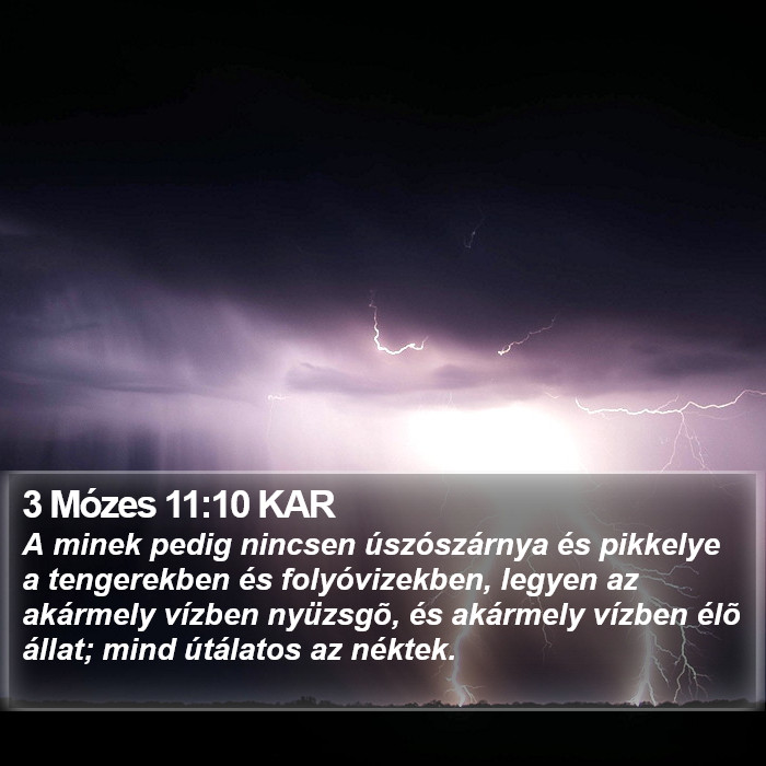 3 Mózes 11:10 KAR Bible Study