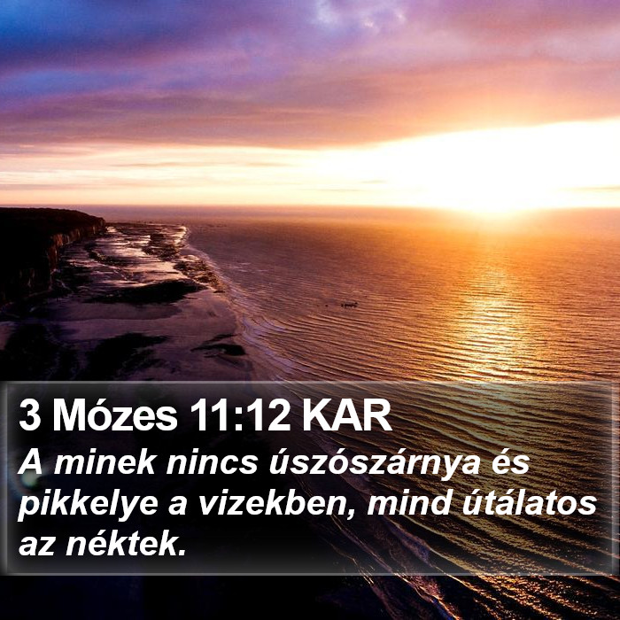 3 Mózes 11:12 KAR Bible Study