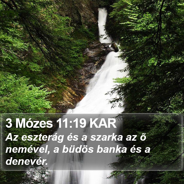 3 Mózes 11:19 KAR Bible Study