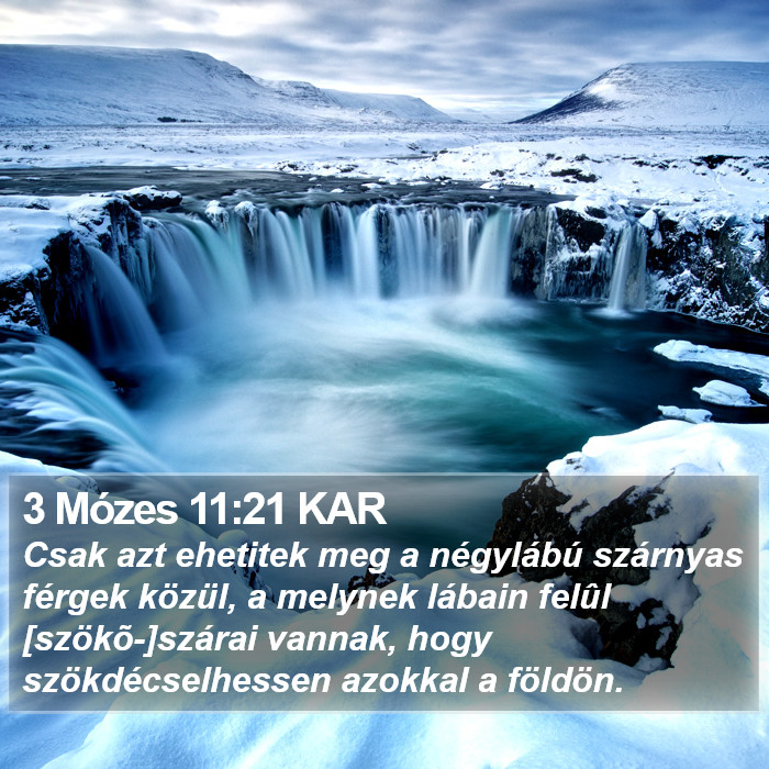 3 Mózes 11:21 KAR Bible Study