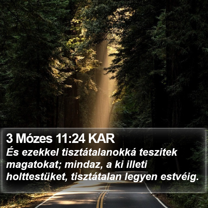 3 Mózes 11:24 KAR Bible Study