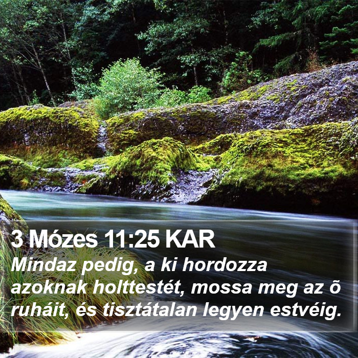 3 Mózes 11:25 KAR Bible Study