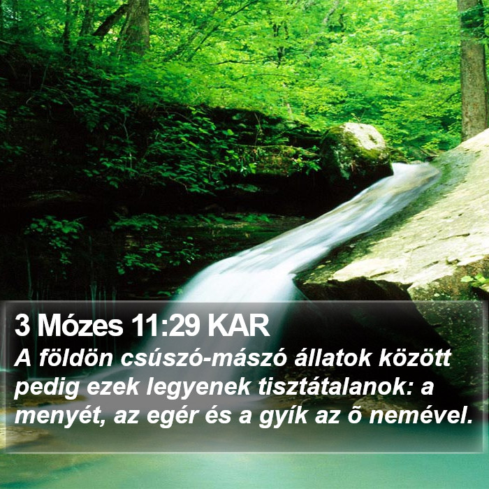 3 Mózes 11:29 KAR Bible Study