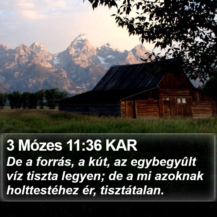 3 Mózes 11:36 KAR Bible Study