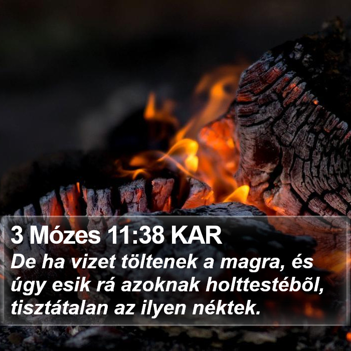 3 Mózes 11:38 KAR Bible Study