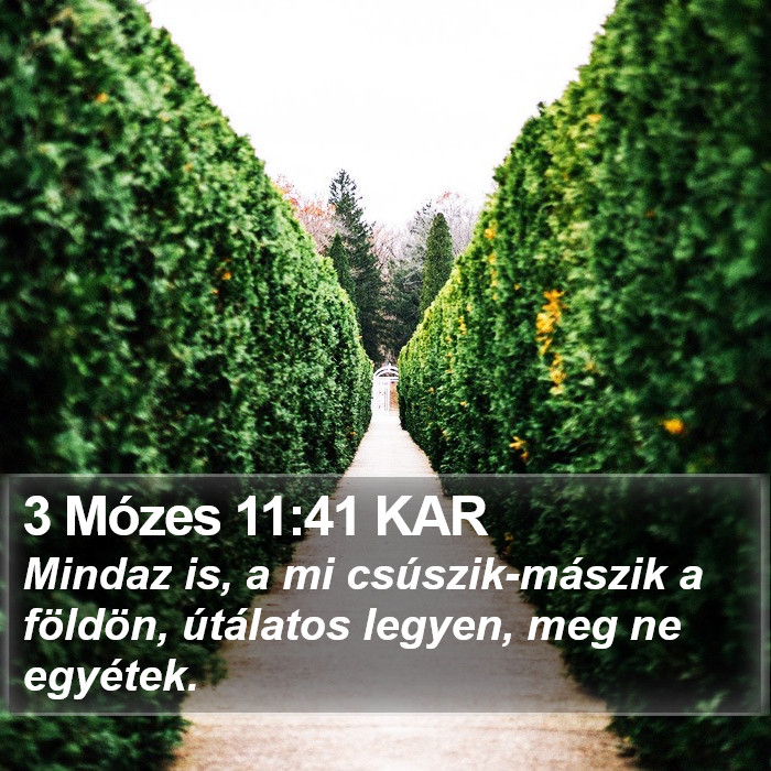 3 Mózes 11:41 KAR Bible Study