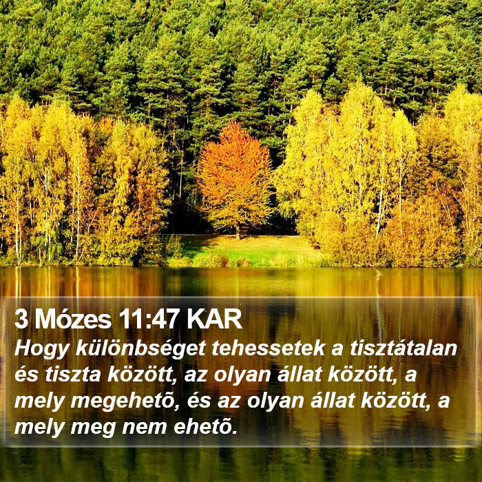 3 Mózes 11:47 KAR Bible Study