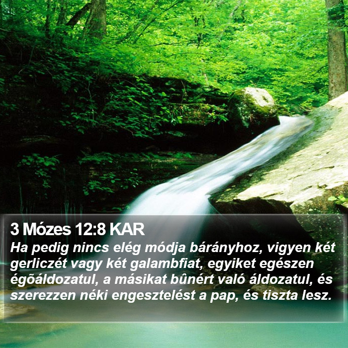 3 Mózes 12:8 KAR Bible Study