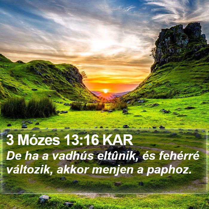 3 Mózes 13:16 KAR Bible Study