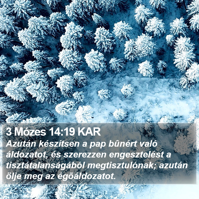 3 Mózes 14:19 KAR Bible Study