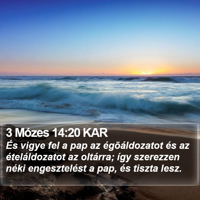 3 Mózes 14:20 KAR Bible Study