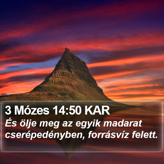 3 Mózes 14:50 KAR Bible Study