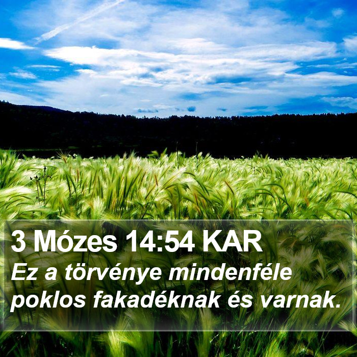 3 Mózes 14:54 KAR Bible Study