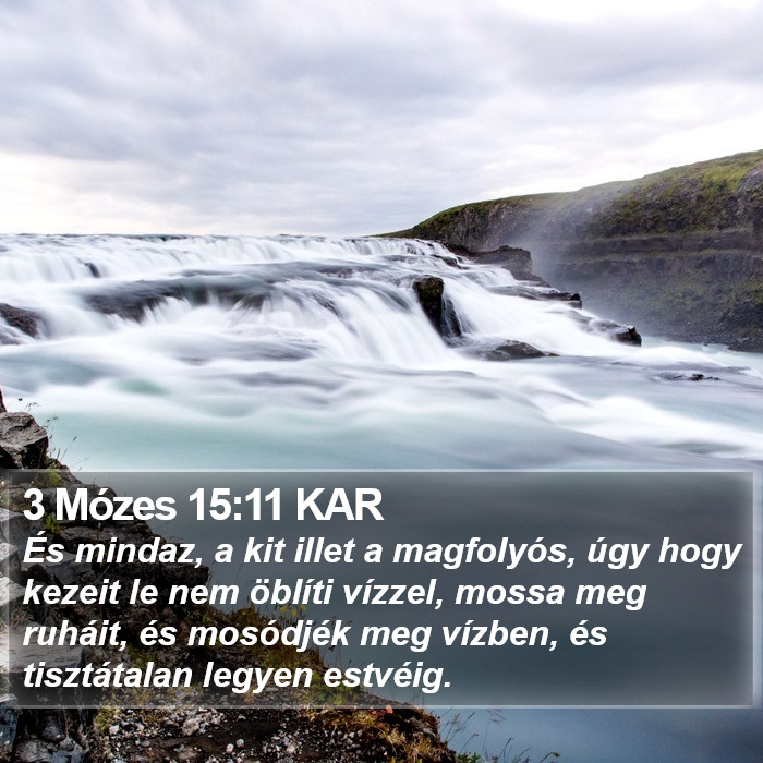 3 Mózes 15:11 KAR Bible Study