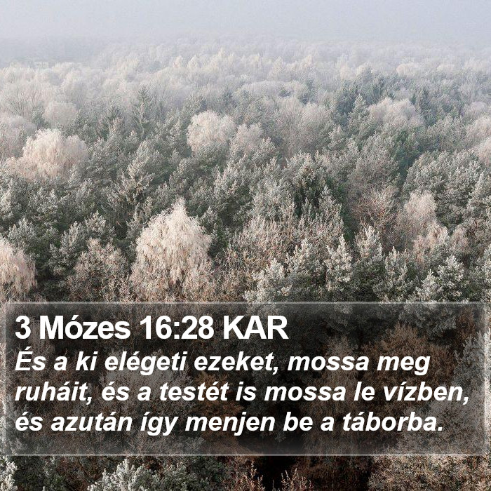 3 Mózes 16:28 KAR Bible Study