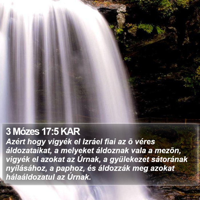 3 Mózes 17:5 KAR Bible Study