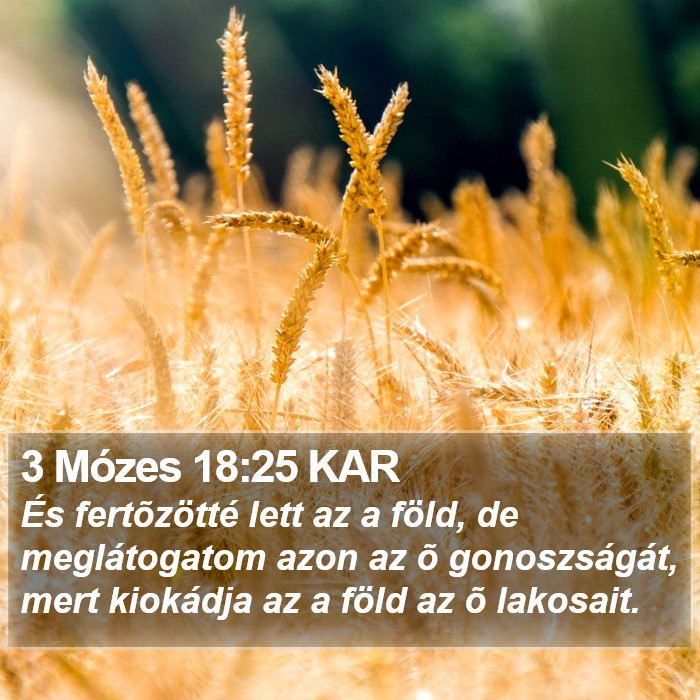 3 Mózes 18:25 KAR Bible Study