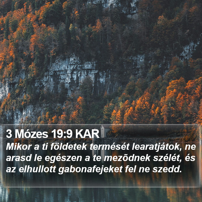 3 Mózes 19:9 KAR Bible Study