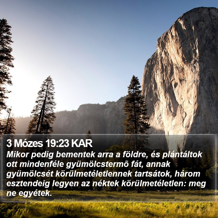 3 Mózes 19:23 KAR Bible Study