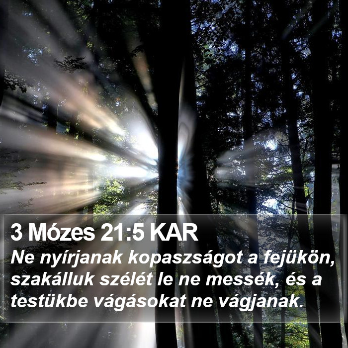 3 Mózes 21:5 KAR Bible Study