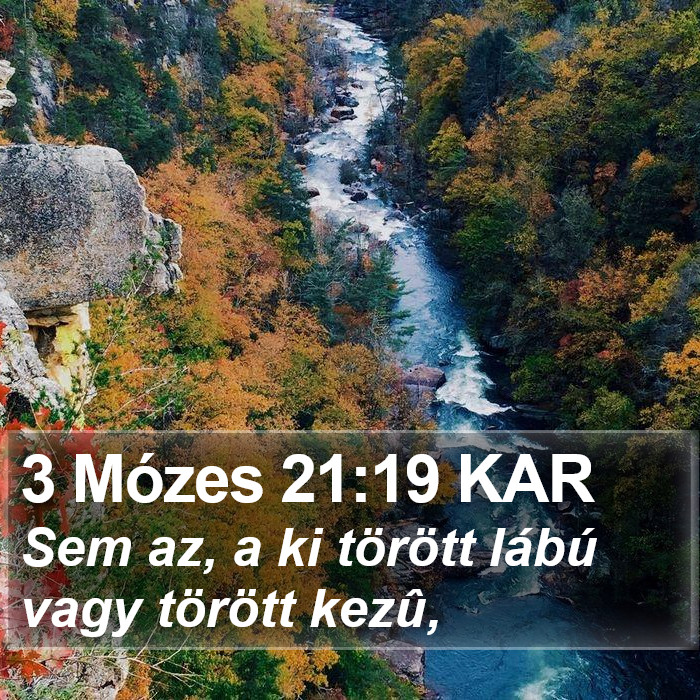 3 Mózes 21:19 KAR Bible Study