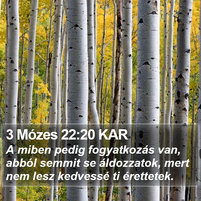 3 Mózes 22:20 KAR Bible Study