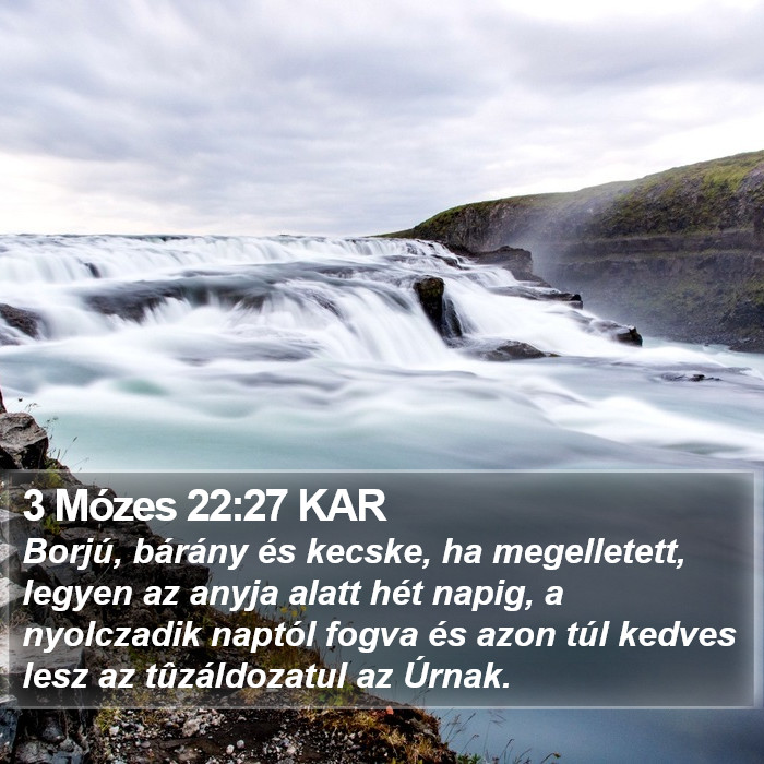 3 Mózes 22:27 KAR Bible Study