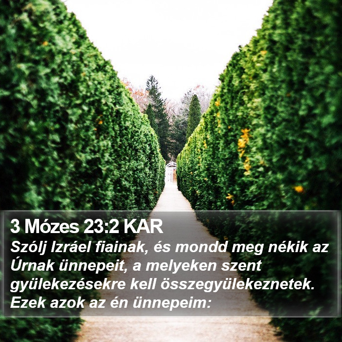 3 Mózes 23:2 KAR Bible Study