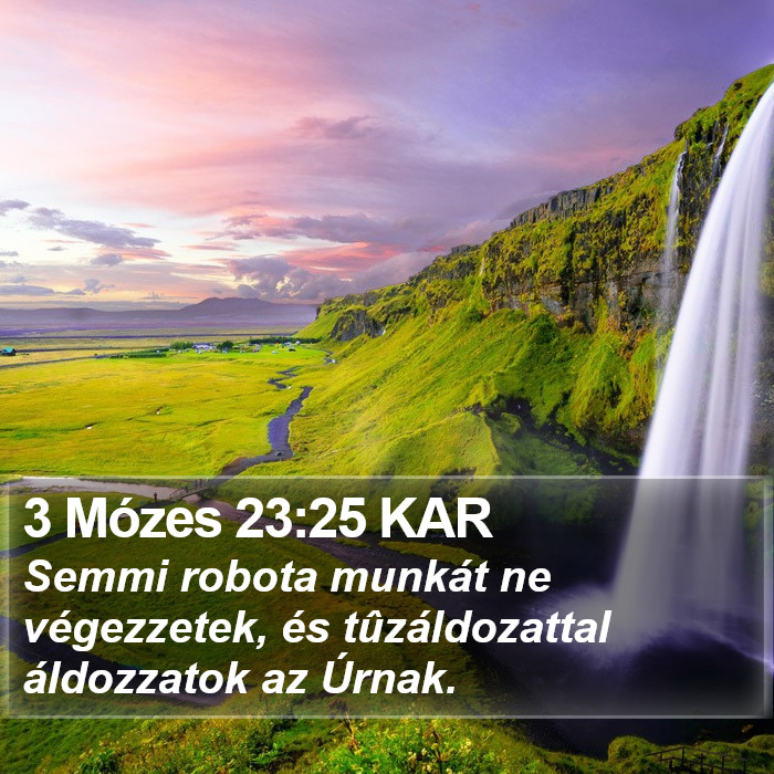 3 Mózes 23:25 KAR Bible Study