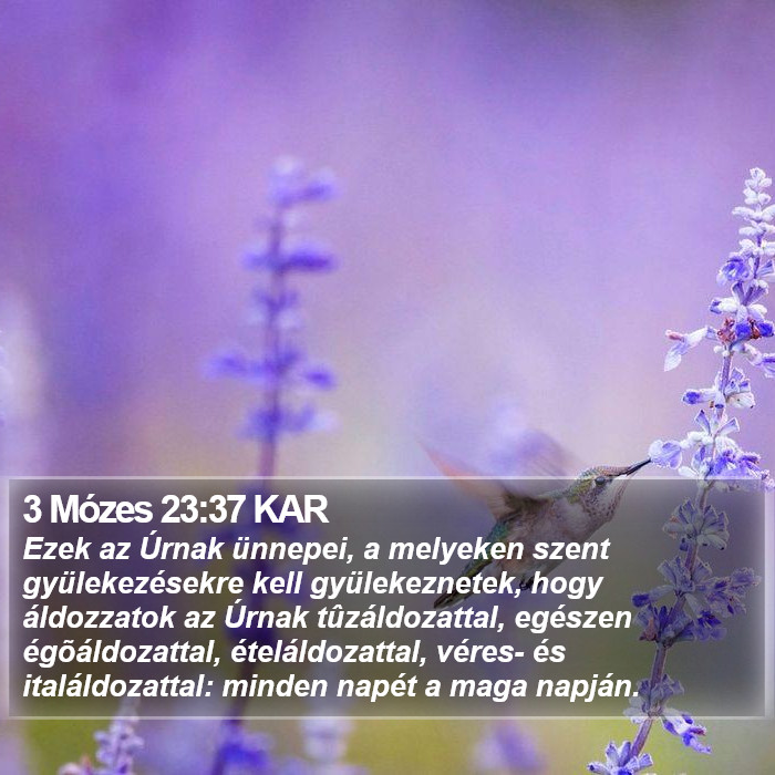 3 Mózes 23:37 KAR Bible Study