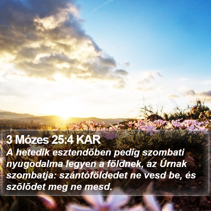 3 Mózes 25:4 KAR Bible Study