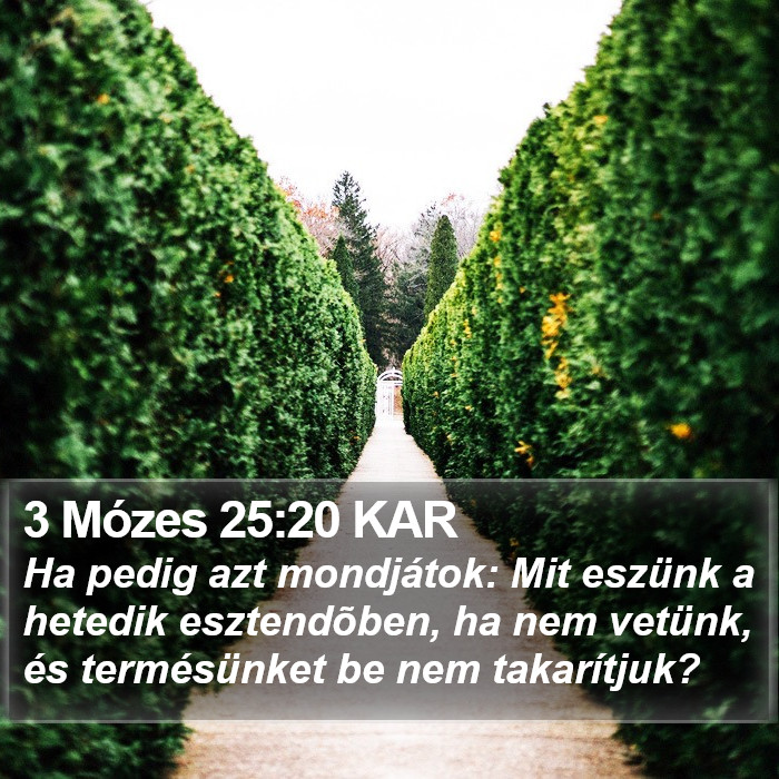 3 Mózes 25:20 KAR Bible Study